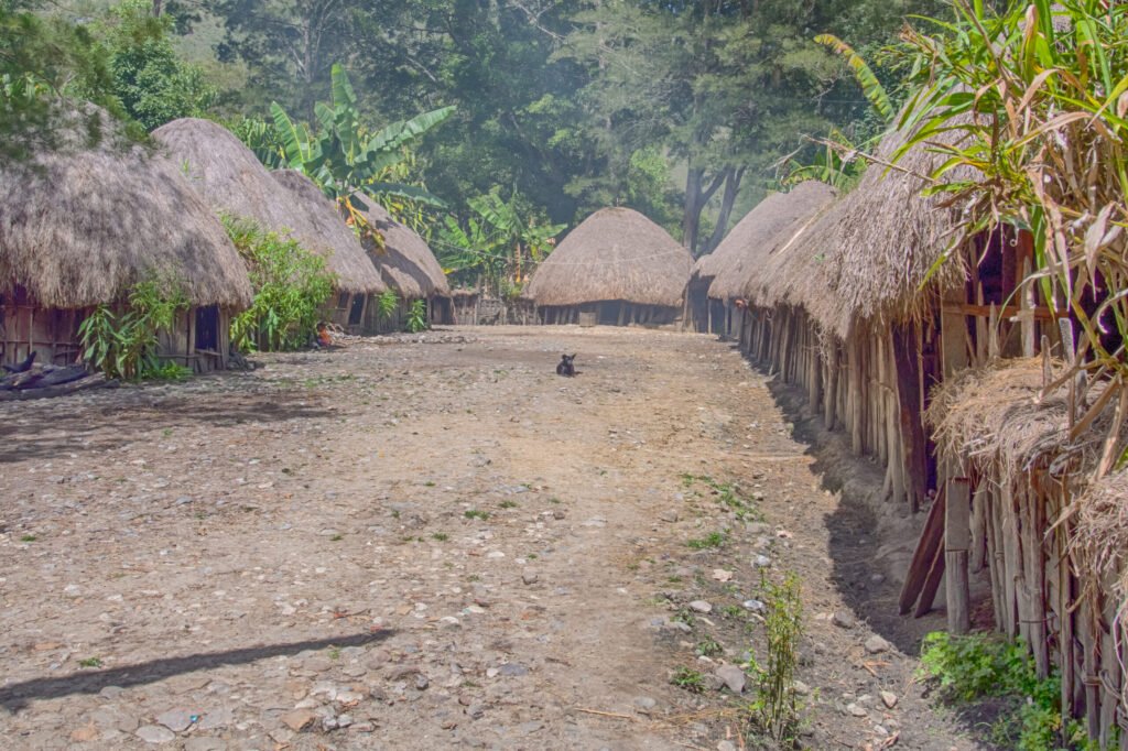 Wamena, Indonesia - January 23, 2015: Cottage covered with dry leaves of banana in the Dani tribe village.  Also spelled Ndani. Dani tribe home in Baliem Valley, West Papua