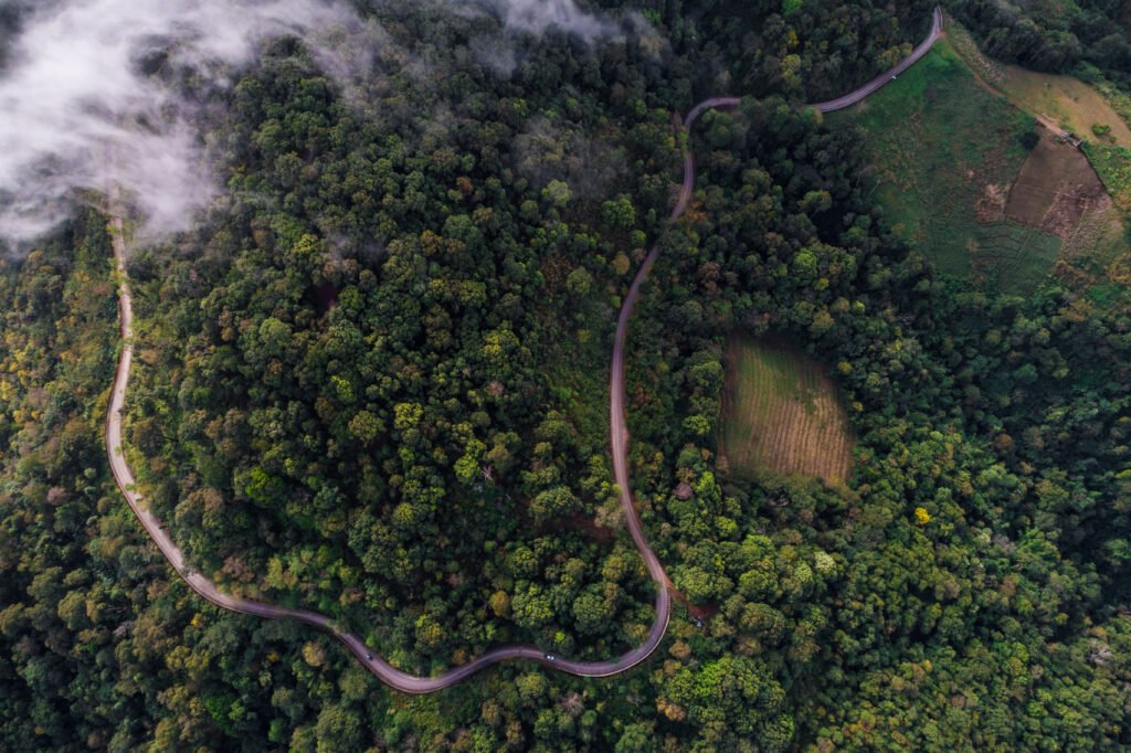 Green scenery aerial view of deep mountain forest with road look down view