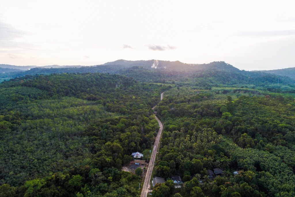 Aerial view tropical green forest with road on island nature landscape