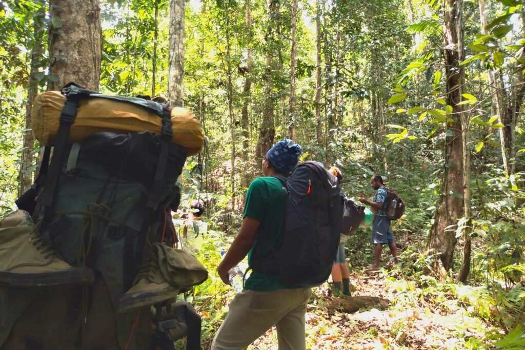 Trekking