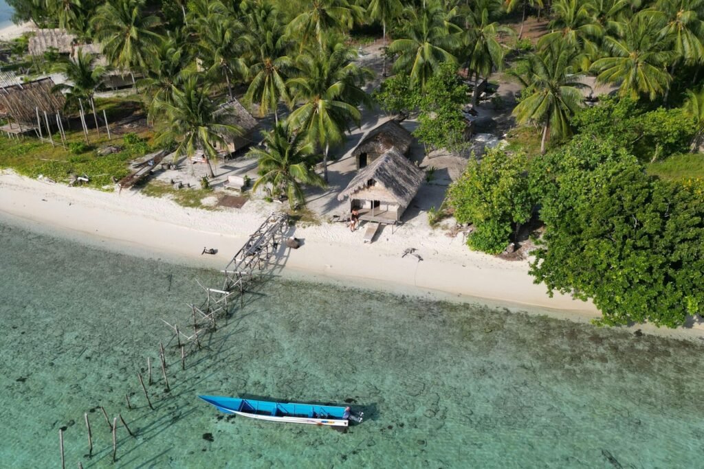 Stunning aerial shot of a tropical beach with boat and palm trees in West Papua, Indonesia.