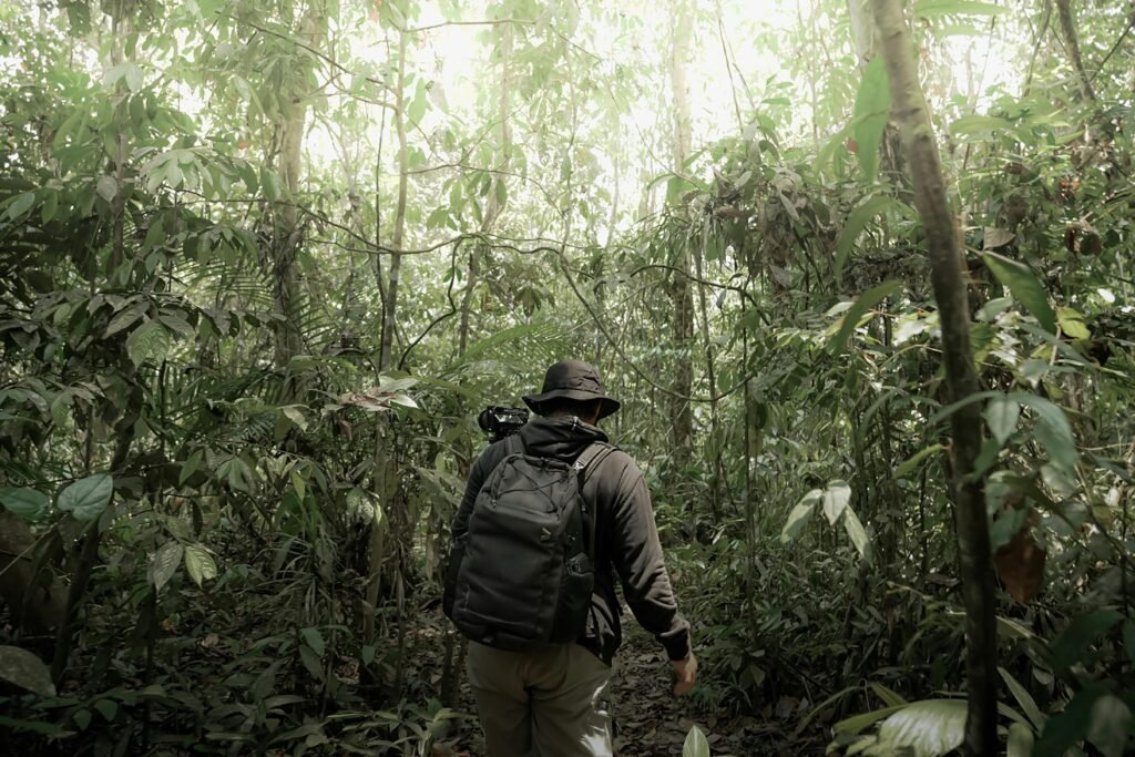 A man with a backpack navigating through lush jungle foliage, capturing nature's beauty with his camera.