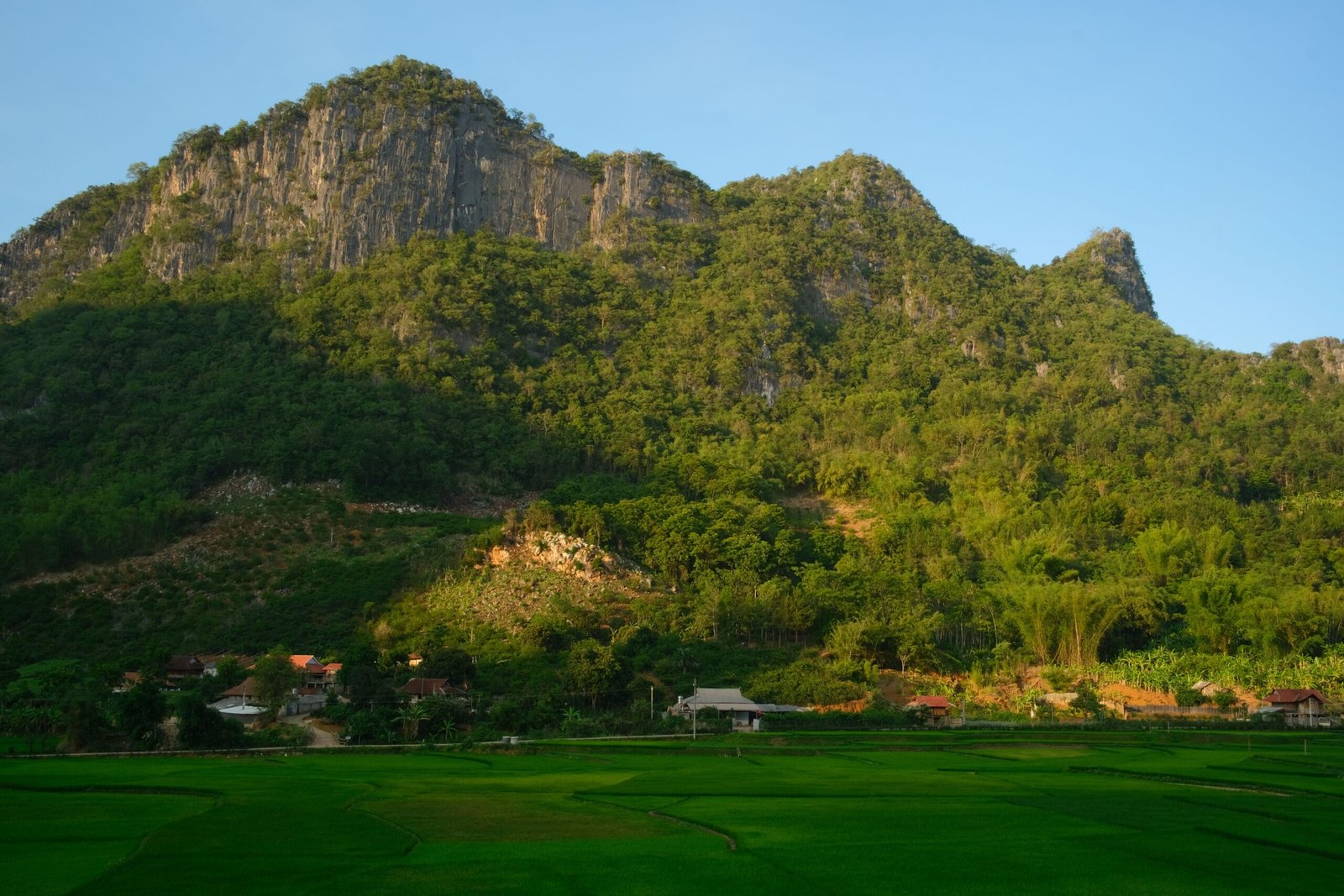 Scenic view of vibrant green fields beneath towering mountains in a rural setting.